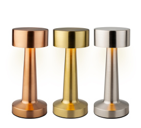 Lampka LED 21x9cm (1 sztuka mix)