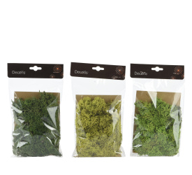 Opakowanie suszony mech 25x15x2cm (1 sztuka mix)