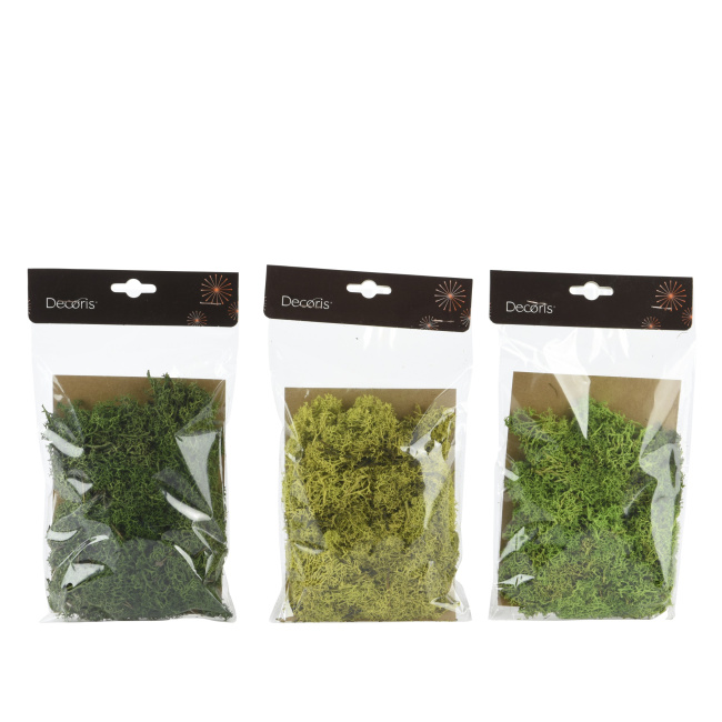 Opakowanie suszony mech 25x15x2cm (1 sztuka mix)