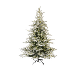 Choinka jodła ośnieżona 240x162cm z lampkami LED 700szt.