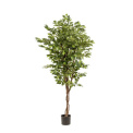 Drzewko Ficus Deluxe Vine 170cm - 1
