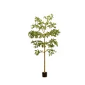 Sztuczne drzewko Bucida Green 290cm - 1
