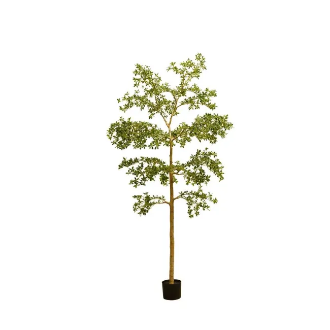 Sztuczne drzewko Bucida Green 290cm - 1