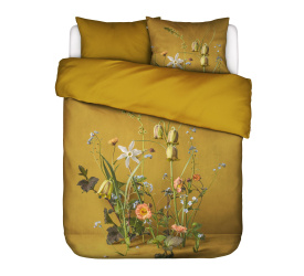 Komplet pościeli Ficaria 200x220cm + 2/70x80cm żółty 