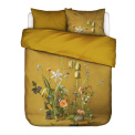 Komplet pościeli Ficaria 200x220cm + 2/70x80cm żółty  - 1