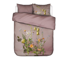Komplet pościeli Ficaria 160x200cm + 2/50x70cm różowy