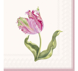 Serwetki 33x33cm Driselle Cream 20szt.