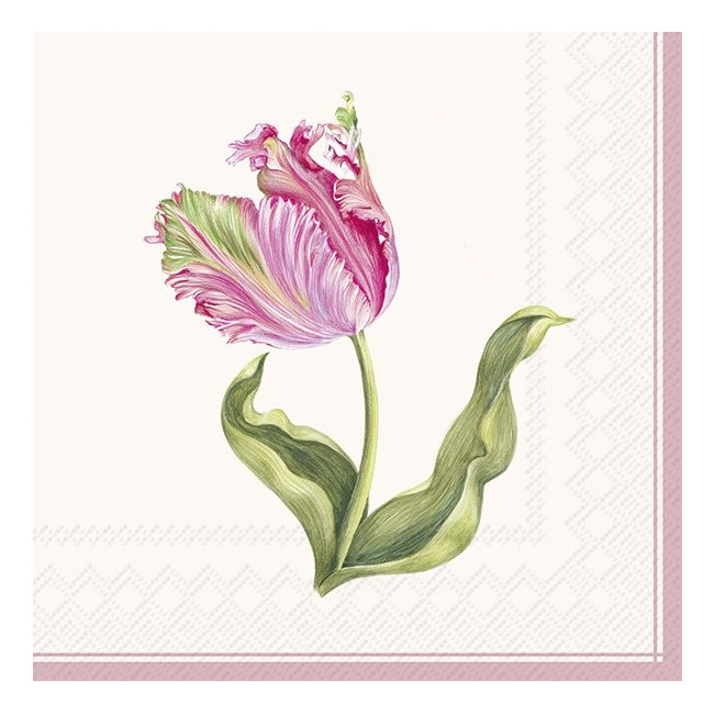 Serwetki 33x33cm Driselle Cream 20szt.