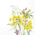 Serwetki 33x33cm Cabrillo 20szt. - 1
