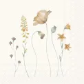 Serwetki 33x33cm Cristelle Cream 20szt. - 1