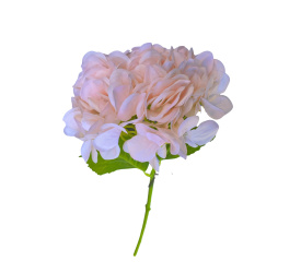 Sztuczna hortensja 49cm szampańska