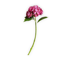 Sztuczna hortensja 57cm czerwona