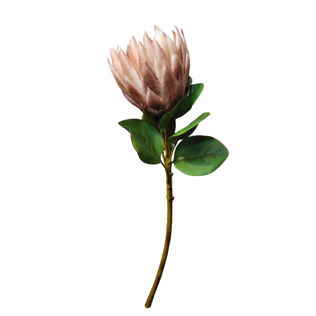 Sztuczny srebrnik 64cm brązowo-czerwony