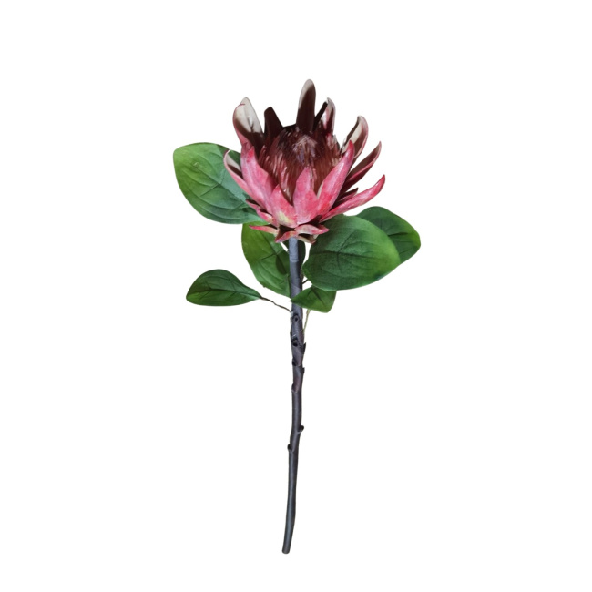 Sztuczny srebrnik 64cm czerwony