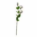 Sztuczna eustoma 71cm beżowa - 1