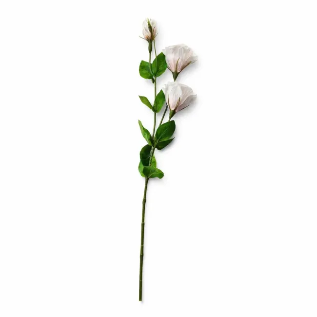 Sztuczna eustoma 71cm beżowa