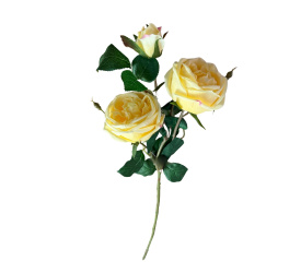 Sztuczna róża 78cm szampańska