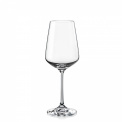 Sandra White Wine Glass 250 ml - 1