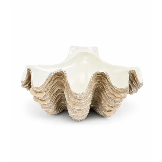 Dekoracja muszla 48,5x26cm