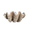 Dekoracja muszla 48,5x26cm - 1
