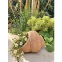 Donica w kształcie muszli 34,7x28,8x22,5cm jasnobrązowa - 2