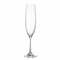 Barbara Champagne Glass 250 ml - 1