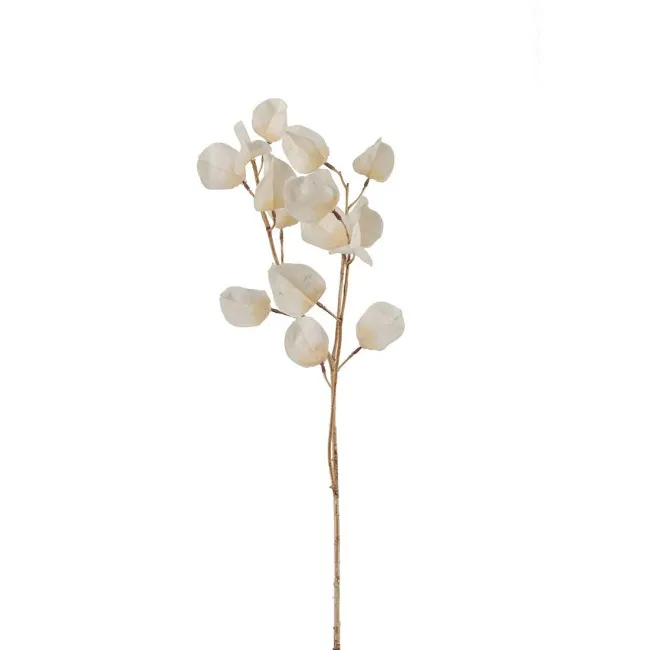Sztuczna gałązka miechunki 60cm beżowa