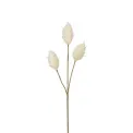 Sztuczna gałązka dmuszek 35cm beżowa - 1