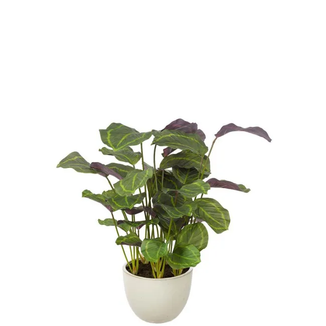 Sztuczna kalatea w donicy 80cm 