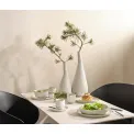 Filiżanka ze spodkiem Coppa Tofu 200ml - 3