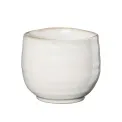 Czarka Umami 200ml Hasu Shiny - 1