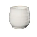 Czarka Umami 50ml Hasu Shiny - 1
