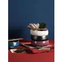 Czarka Umami 50ml Hasu Shiny - 6