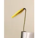 Wazon Lituus 24x16,9cm Smokey Glass - 4