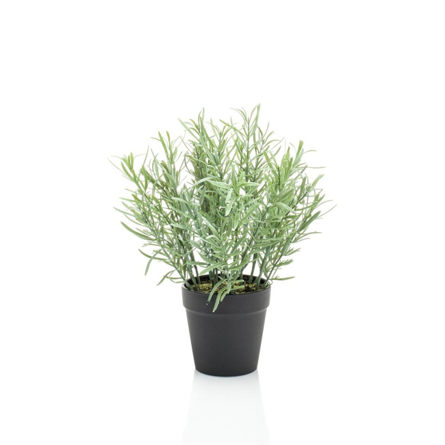 Sztuczny rozmaryn 25cm w doniczce