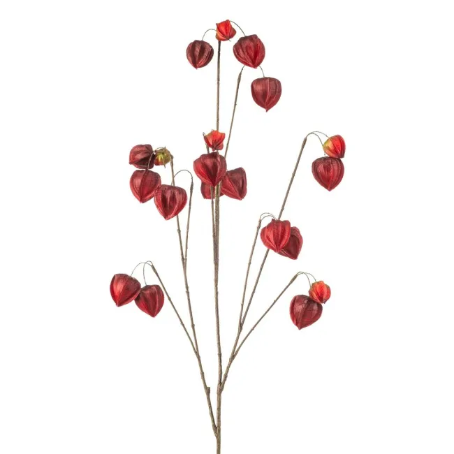 Sztuczna miechunka 110cm bordowa