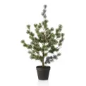 Sztuczne drzewko sosny cedrowej 80cm w doniczce  - 1