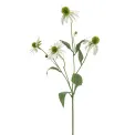 Sztuczna gałazka rudbekii 73cm biała - 1