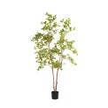 Sztuczne drzewko terminalia 175cm w doniczce  - 1