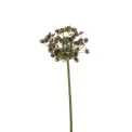 Sztuczny koper 55cm brązowy - 1