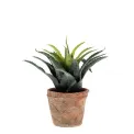 Sztuczna agawa 27cm zielono-czerwona w doniczce  - 1