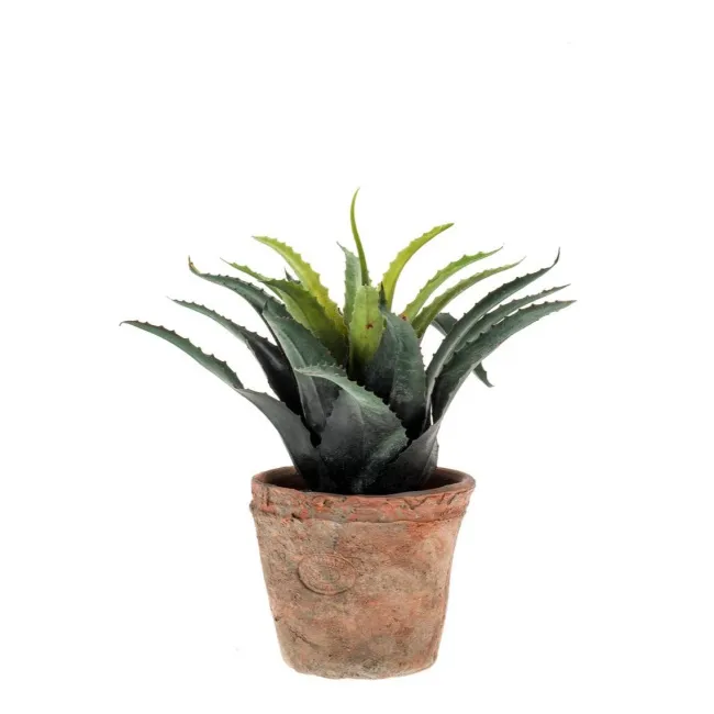 Sztuczna agawa 27cm zielono-czerwona w doniczce 