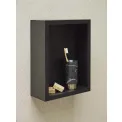 Taca Cole 25,4x15,5cm Black - 3