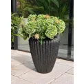 Donica Cactus 65x52cm anthracite - 2