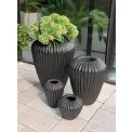 Donica Cactus 65x52cm anthracite - 3