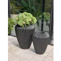 Donica Cactus 65x52cm anthracite - 5