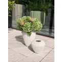 Donica Cactus 37x29cm white - 3