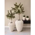 Donica Cactus 37x29cm white - 10