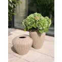 Donica Cactus 37x29cm beige - 3