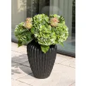 Donica Cactus 37x29cm anthracite - 2